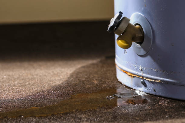 Best Commercial water damage restoration  in Camden, TN