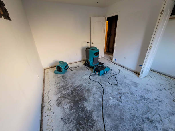  Camden, TN Water damage restoration Pros