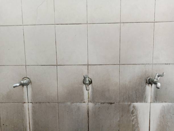 Best Commercial water damage restoration  in Camden, TN