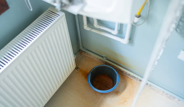 Best Flood damage cleanup  in Camden, TN