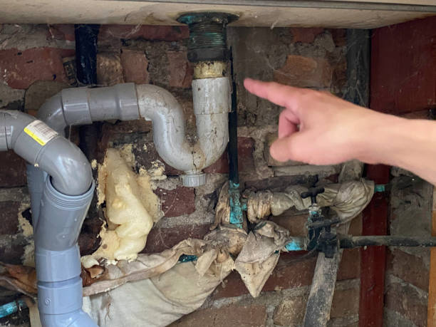 Carpet water damage restoration in TN
