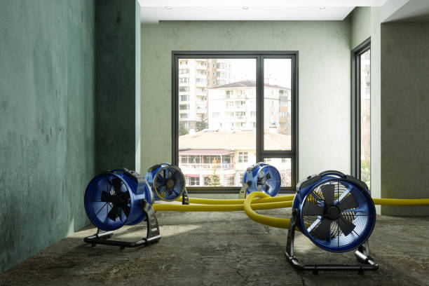 Best Water damage restoration near me  in Camden, TN